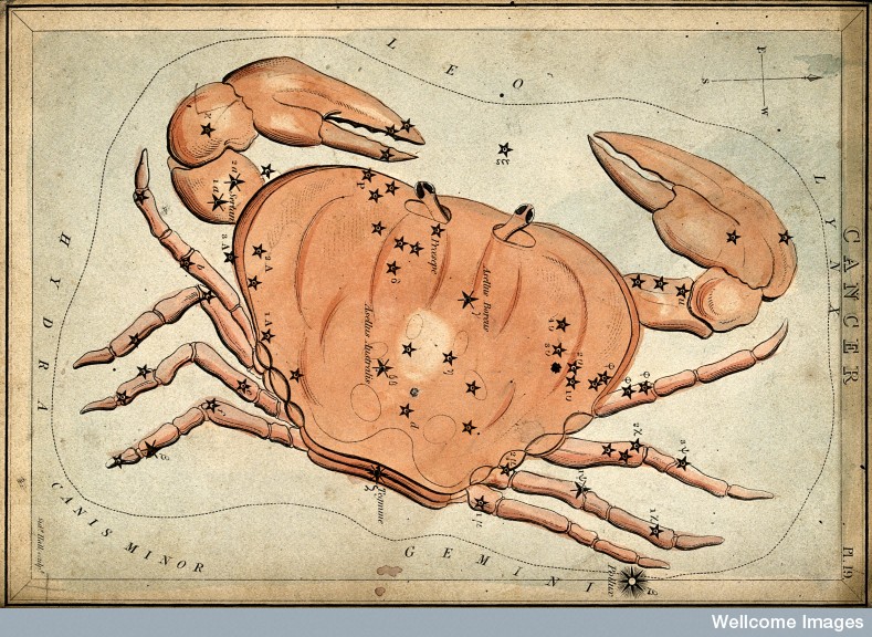 V0024939 Astrology: signs of the zodiac, Cancer. Coloured engraving b