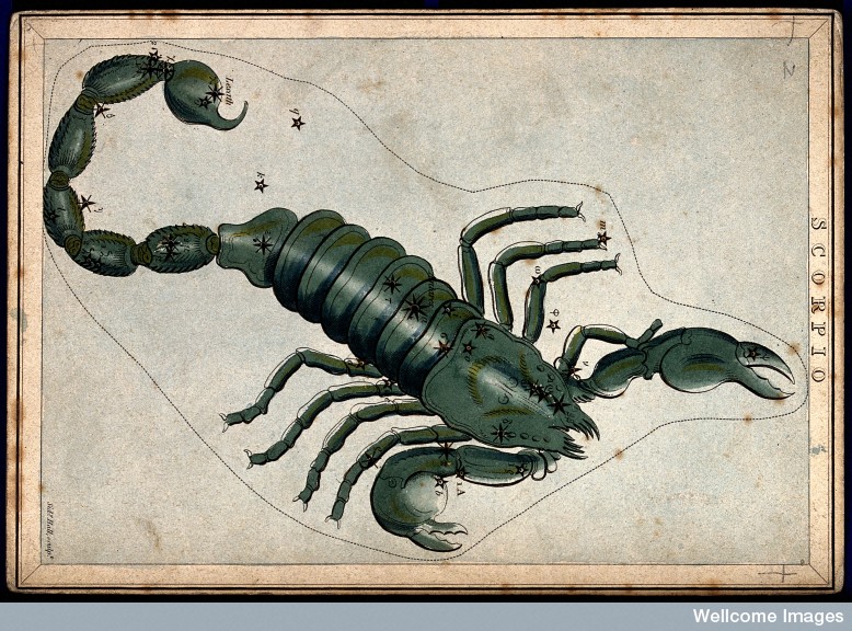 V0024929 Astrology: signs of the zodiac, Scorpio. Coloured engraving.