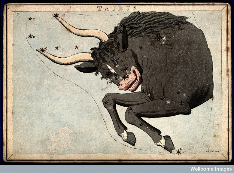 V0024930 Astrology: signs of the zodiac, Taurus. Coloured engraving b